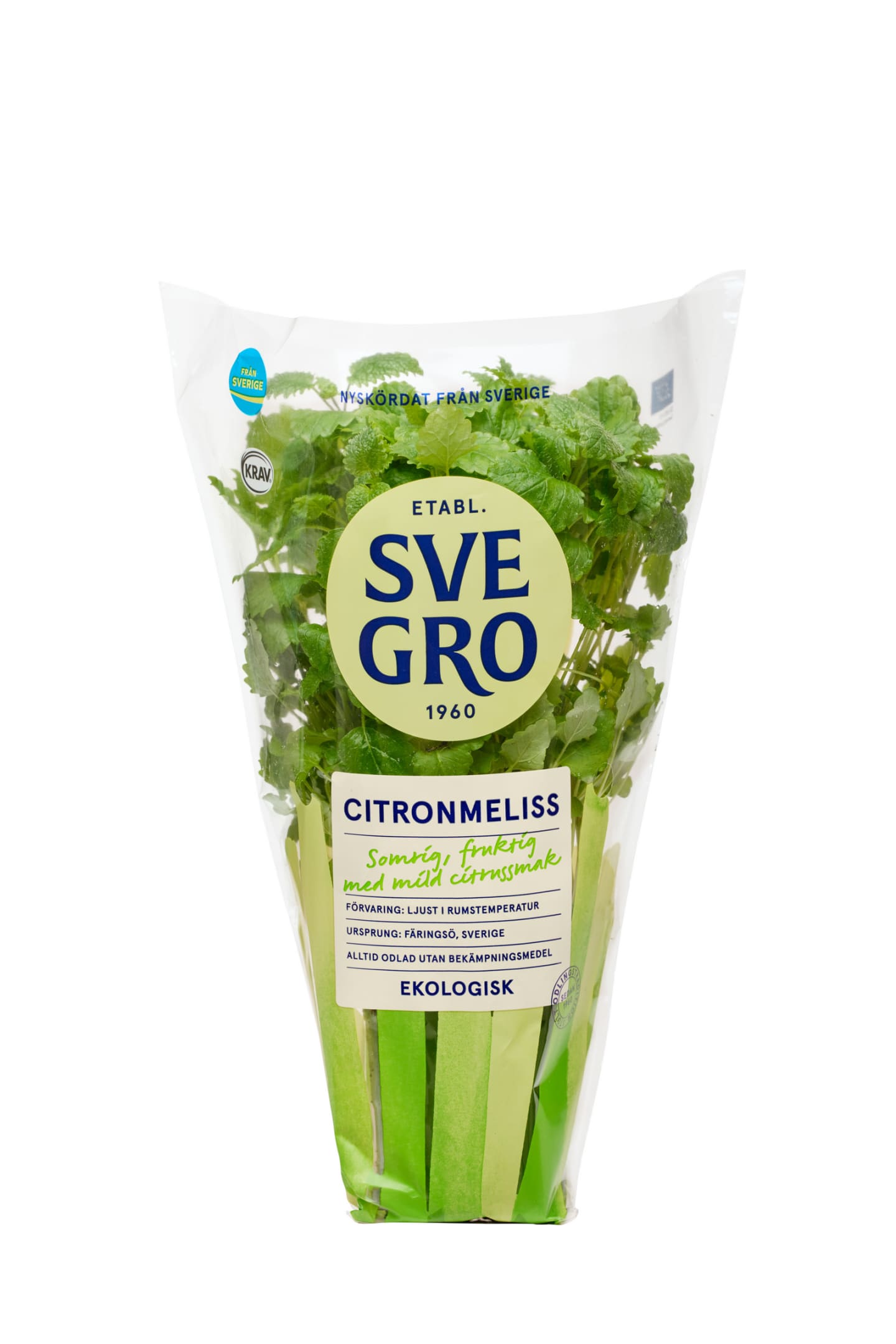 Citronmeliss kruka
