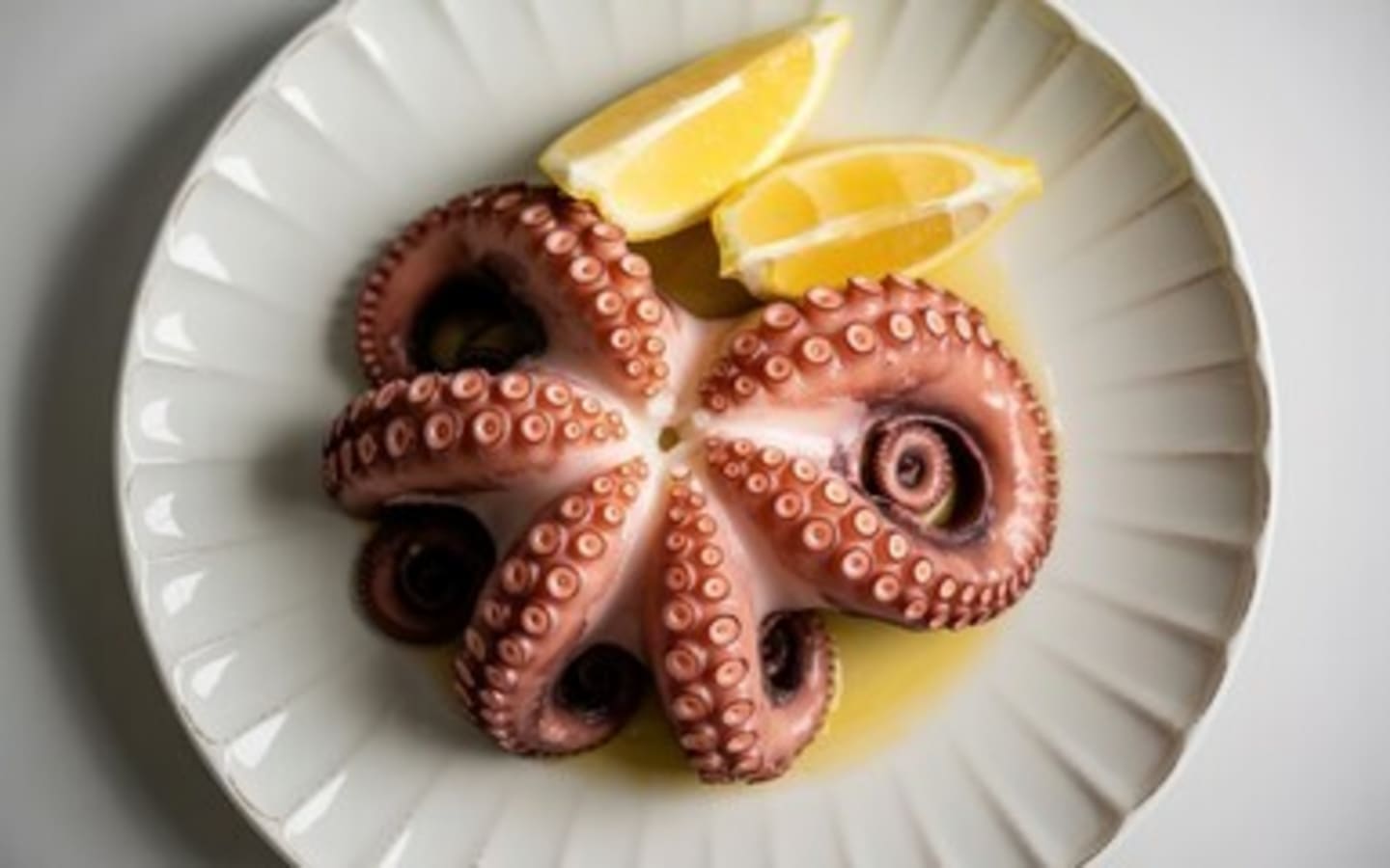 Bläckfisk pulpo hel rå 2-3kg 14kg