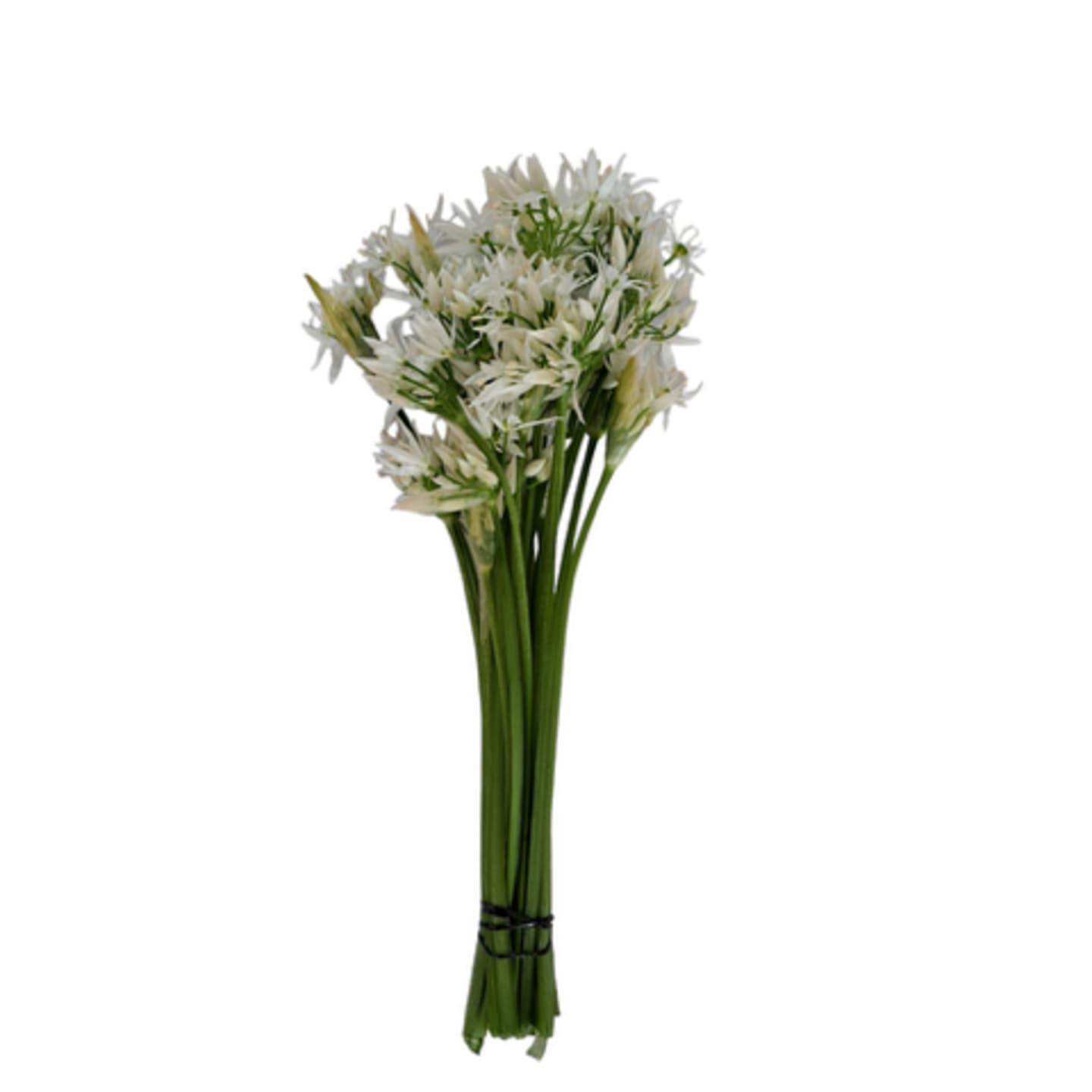 Ramslöksblommoa 50g