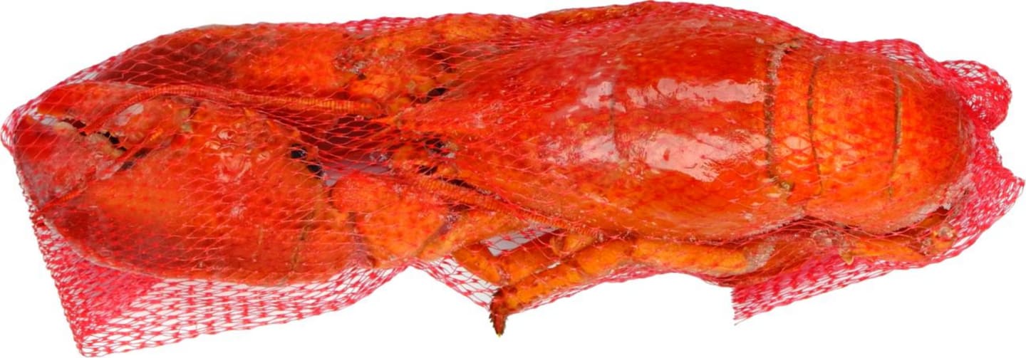 Hummer hel kokt AM MSC 300-350g/4,54kg
