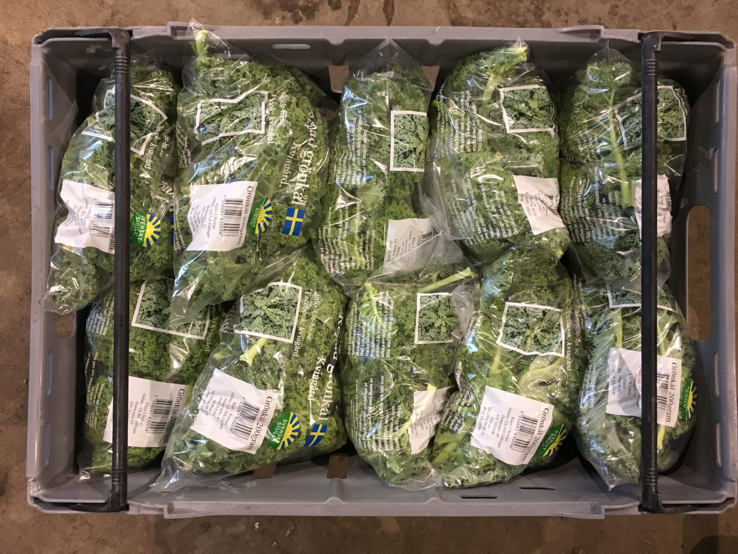 Grönkål 200g - Bild 1 av 2