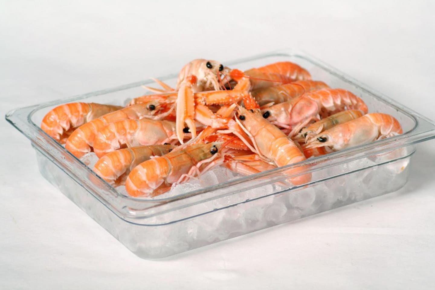 Havskräfta rå MSC13-16st/kg 800g