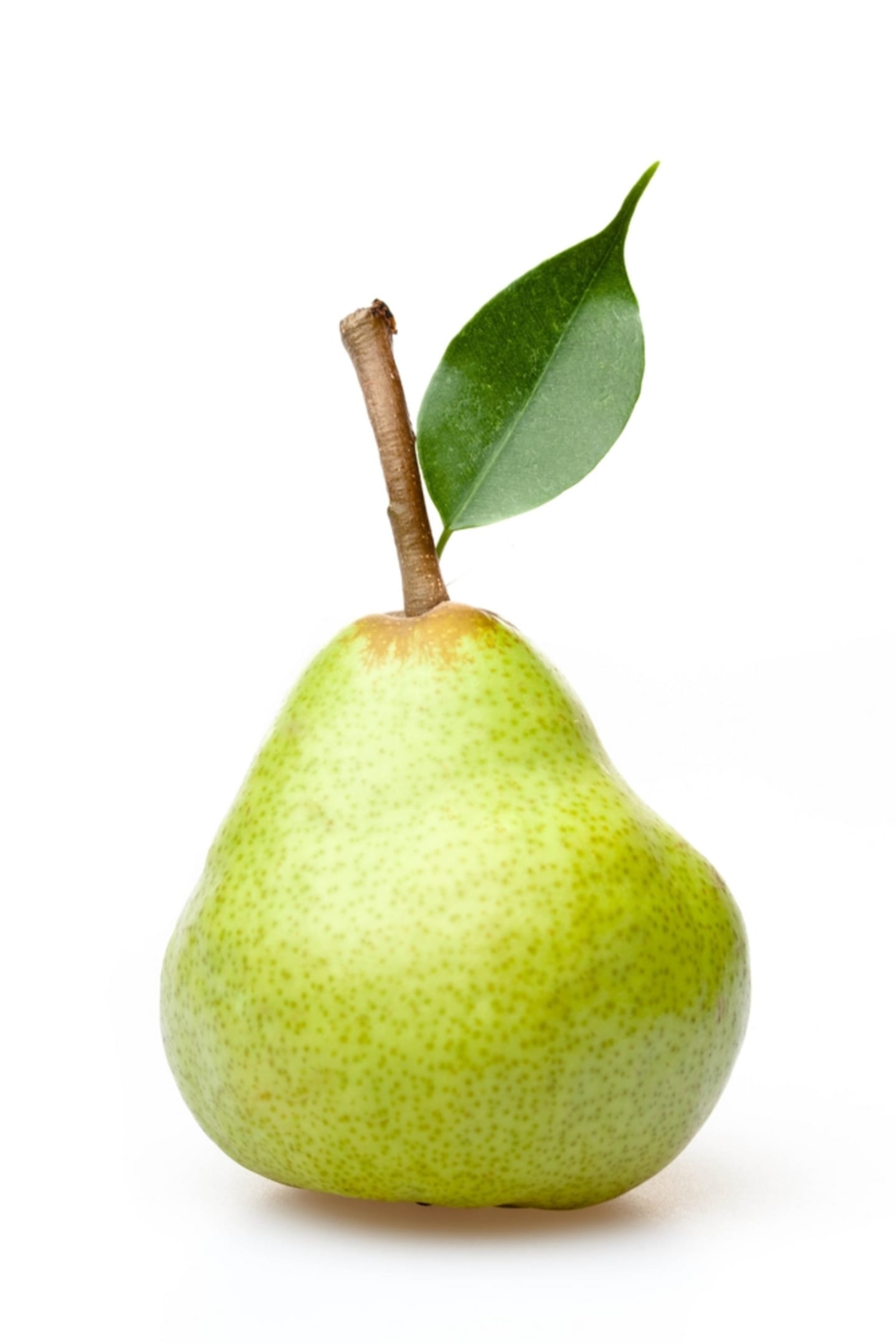Päron Anjou