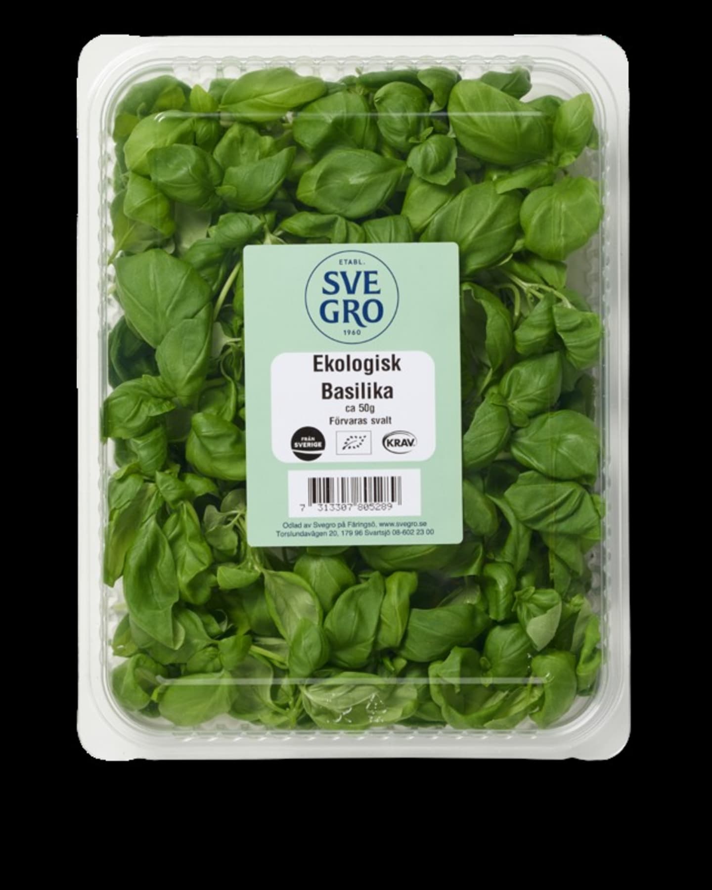 Basilika 50g