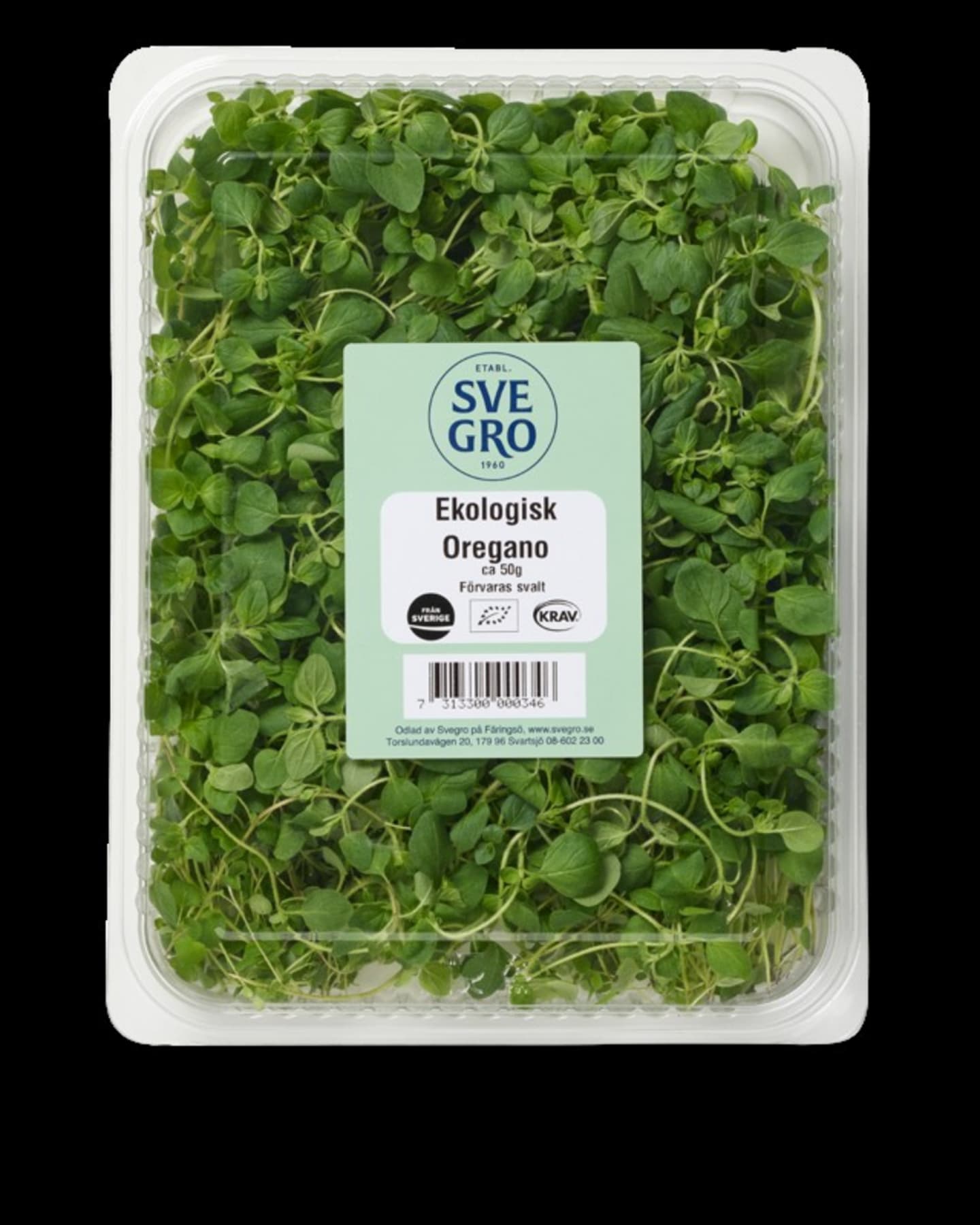 Oregano 50g