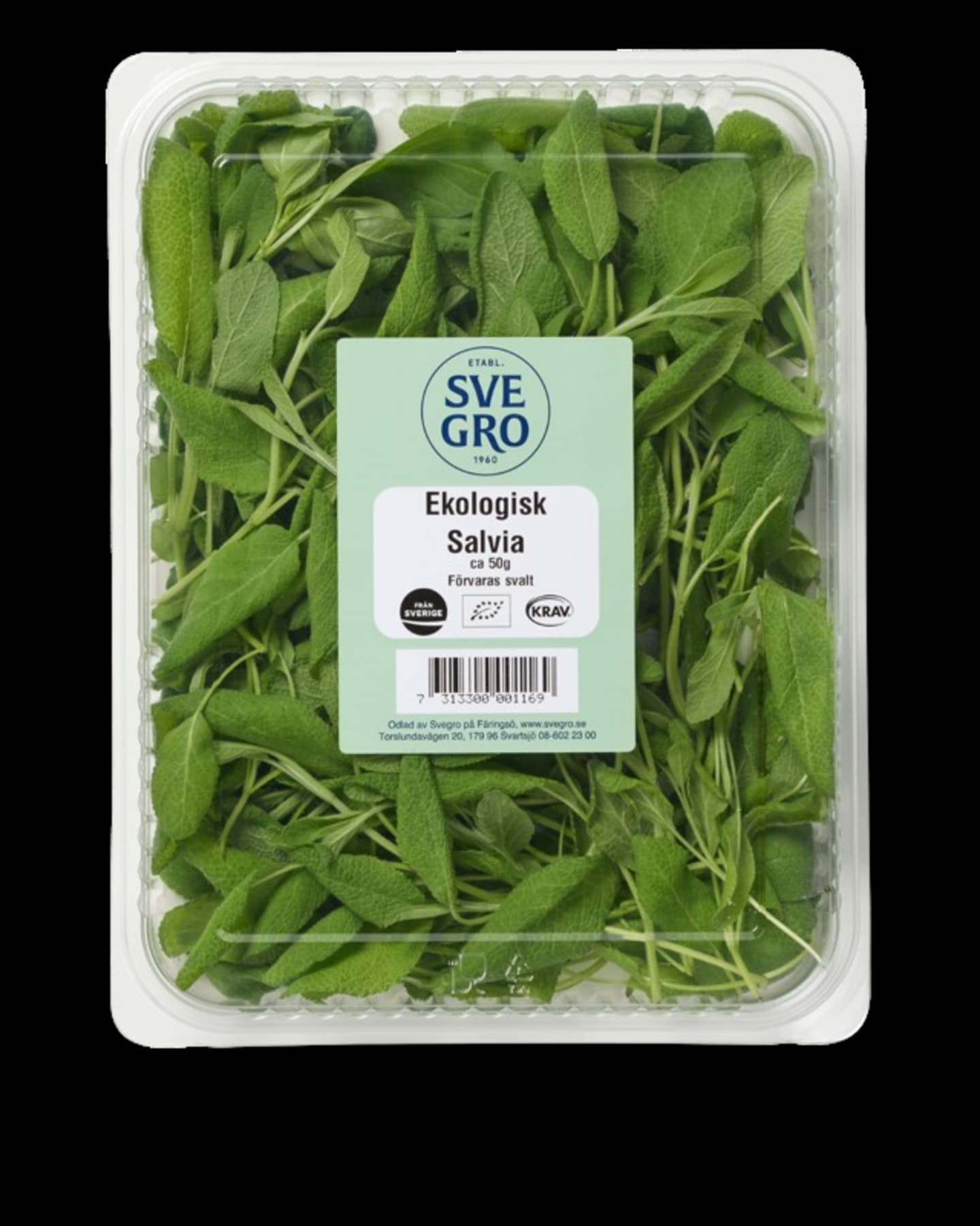 Salvia 50g