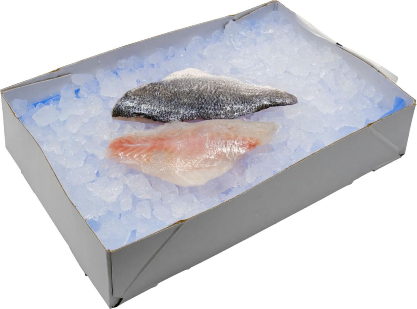 Guldsparidfilé Seabream ASC