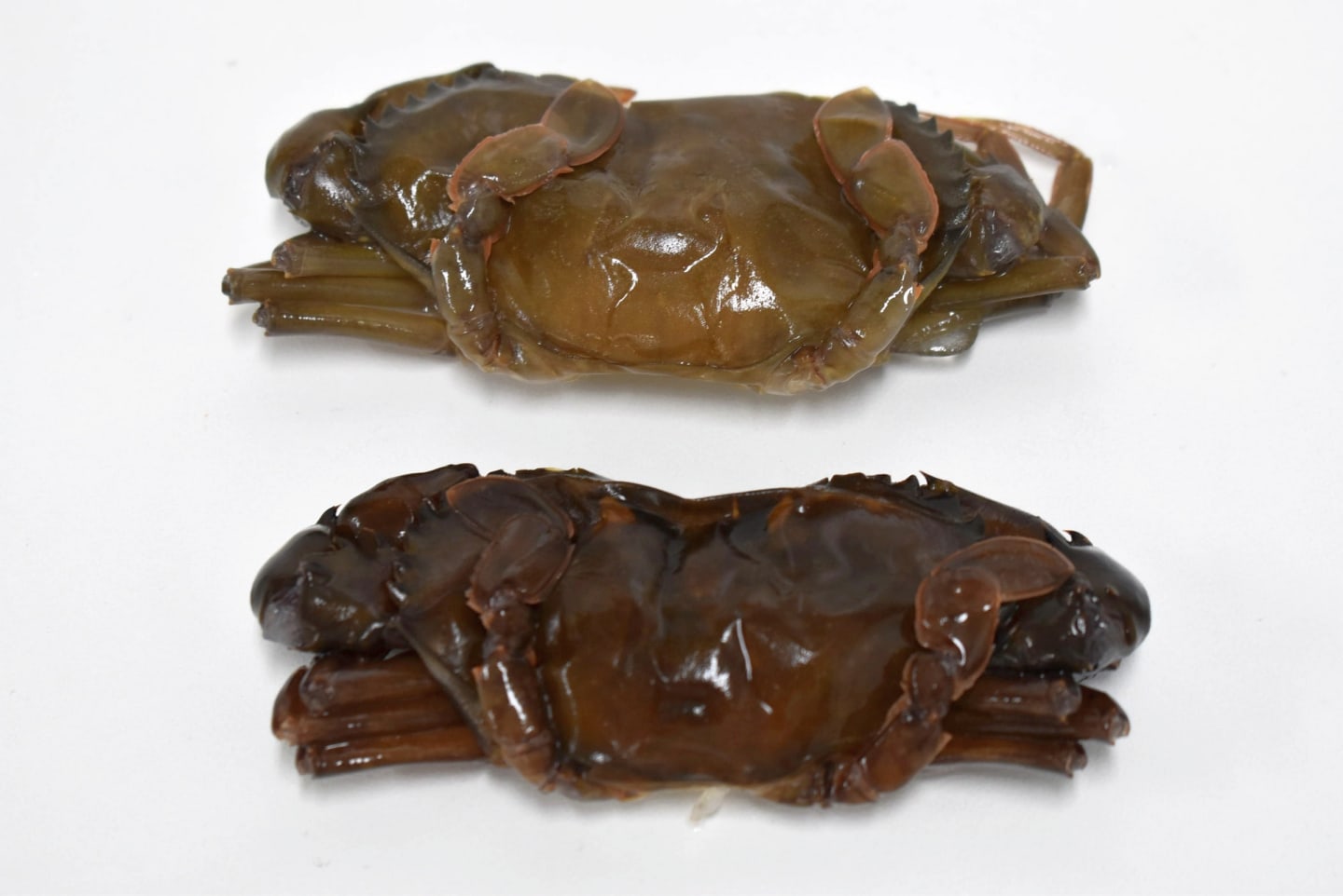 Krabba soft shell 18 stk 1kg