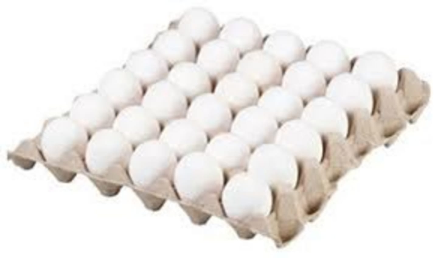 Ägg frigående 9,5kg